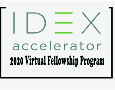 IDEX Fellowship Program January 2021