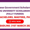 Nanjing University Scholarships 2021